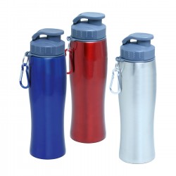 RCGGM-206 FLIP LID SS BOTTLE