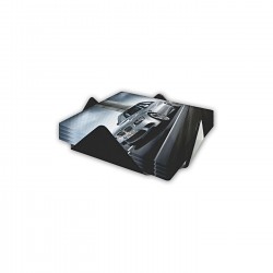 RCG-SANCOASTER-0001 RCG-SANCOASTER-0001