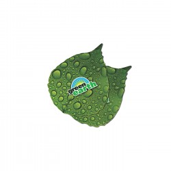 RCG-SANCOASTER-0007 RCG-SANCOASTER-0007