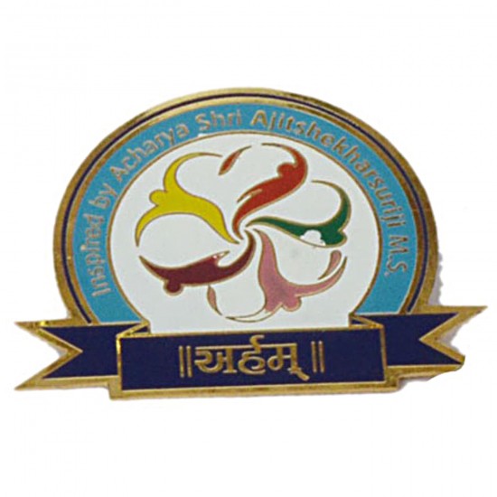 RCG-Lapel Pins-0011