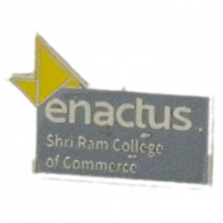 RCG-Lapel Pins-0012