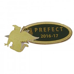 RCG-Lapel Pins-0017