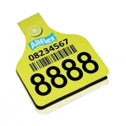 RCG Diecut Notepad 0003